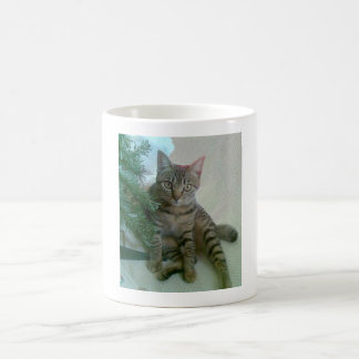 Tasses mignonnes personnalisées de chat