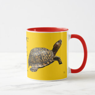 Tasses persistantes de tortue