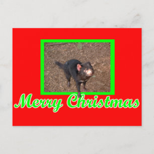 Tassie Devil Postcard