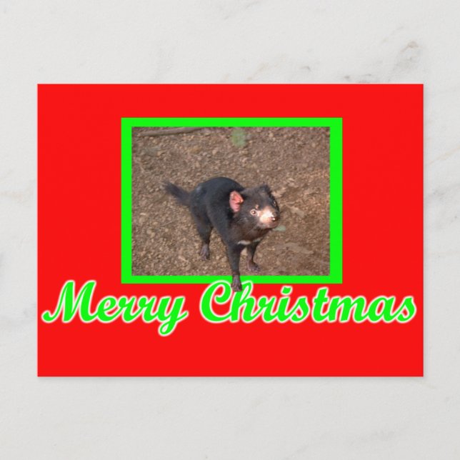 Tassie Devil Postcard (Front)