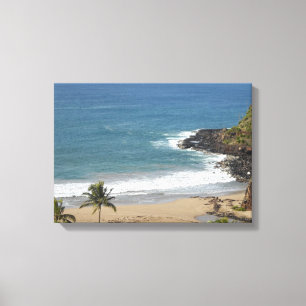 Taste of Hawaii Canvas Print