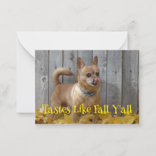 Tastes Like Fall Autumn Chihuahua Card