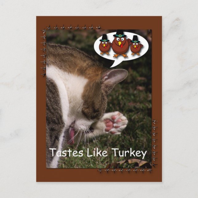 Tastes Like Turkey Holiday Postcard (Front)