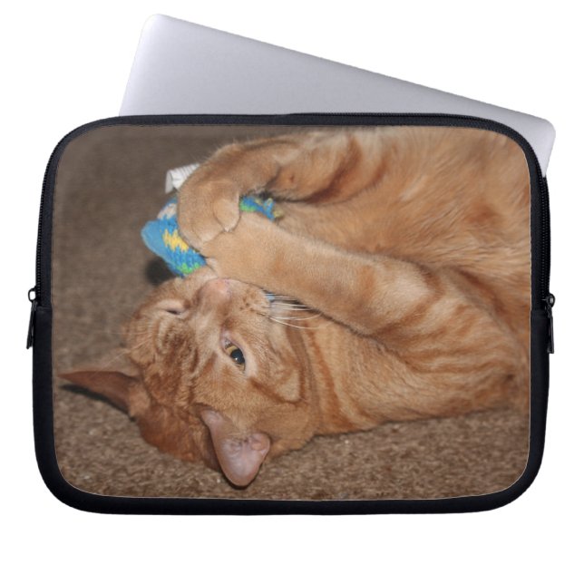 Tater Laptop Sleeve (Front)