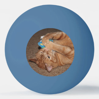 Tater Ping Pong Ball