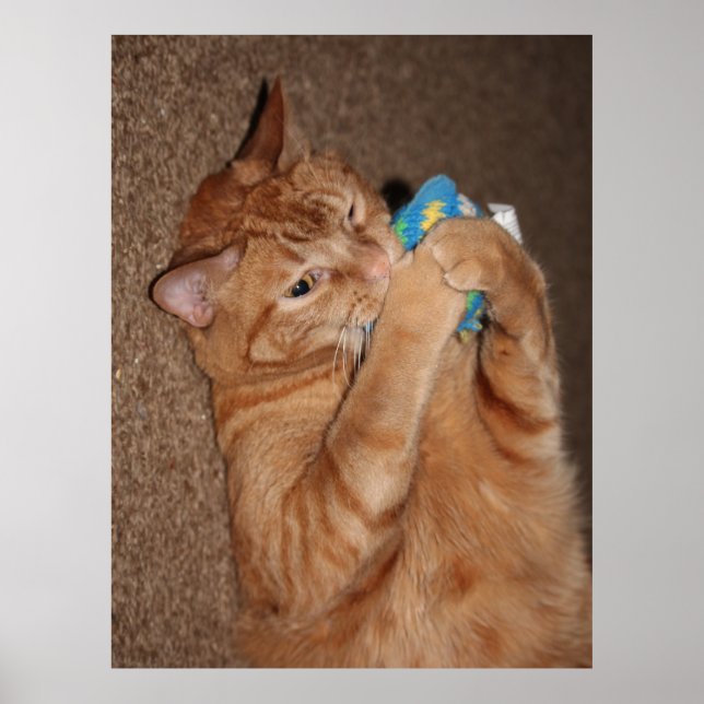 Tater Poster (Front)