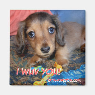 TatianaTheDog puppy magnet -  I WUV YOU!