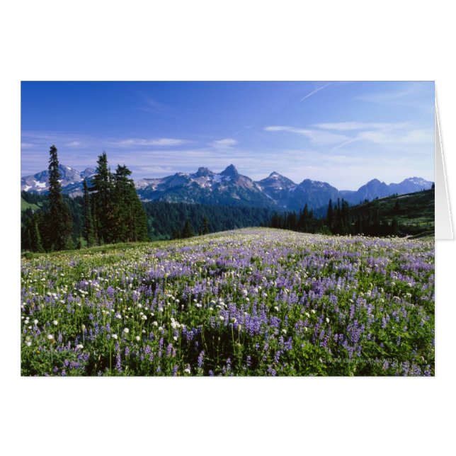 Tatoosh Mountain Range (Front Horizontal)