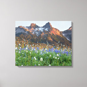 Tatoosh Range and Wildflowers Mt. Rainier Canvas Print