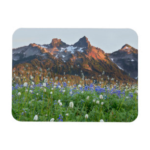 Tatoosh Range and Wildflowers Mt. Rainier Magnet