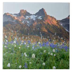 Tatoosh Range and Wildflowers Mt. Rainier Tile