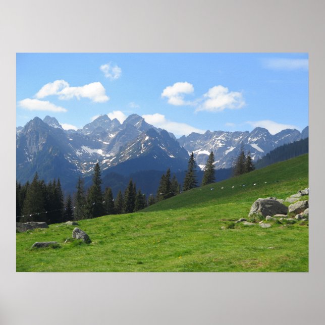 Tatras Rusinowa meadow Poster (Front)