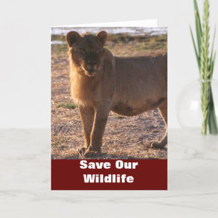 Tau Sauvegardez Notre Carte De Voeux Faune