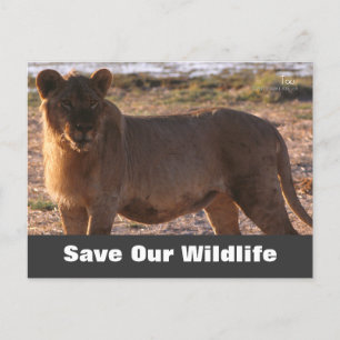 Tau Sauver notre carte postale