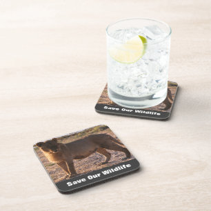 Tau Save Our Wildlife Coaster