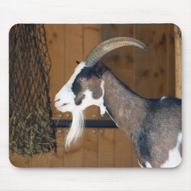 Tauernschecken-Ziege Mouse Pad (Front)