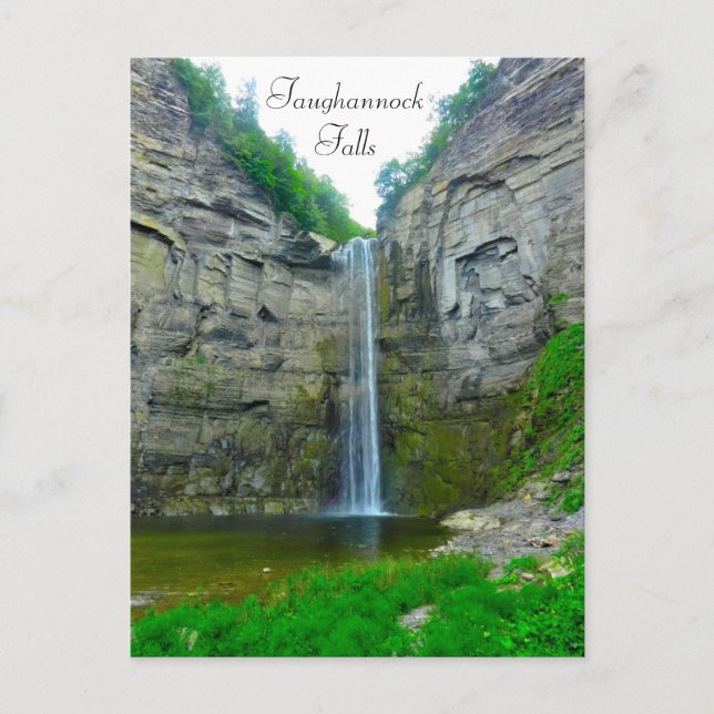 TAUGHANNOCK FALLS postcard (Front)
