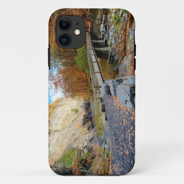 Taughannock Falls State Park Case-Mate iPhone Case (Back)