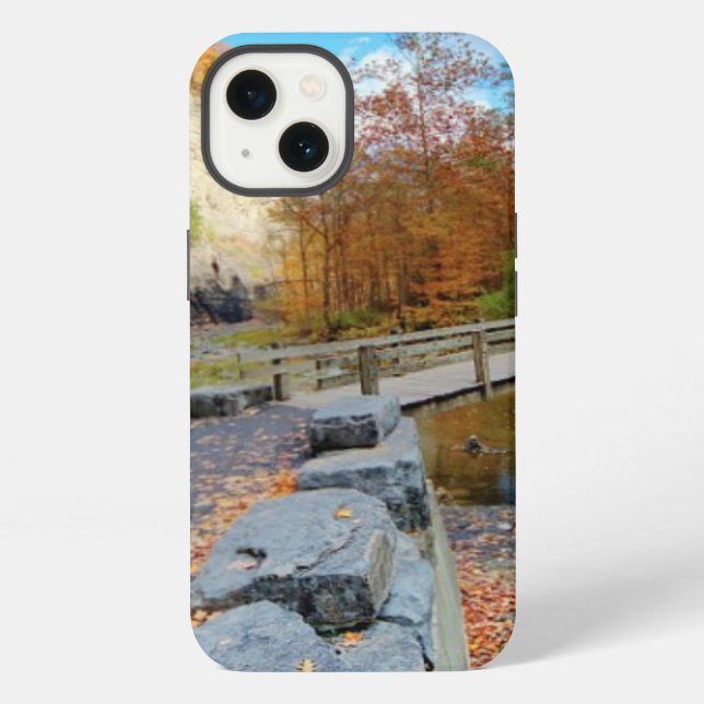 Taughannock Falls State Park iPhone Case (Back)