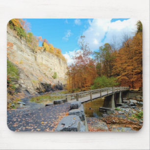 Taughannock Falls State Park Mouse Pad