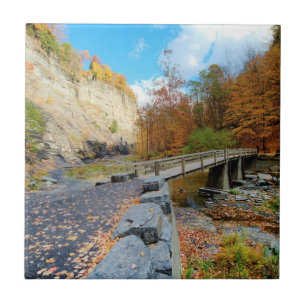 Taughannock Falls State Park Tile
