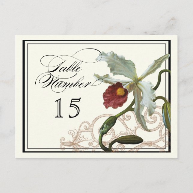 Taupe de l'orchidée de Cattleya - Numéro de carte  (Devant)
