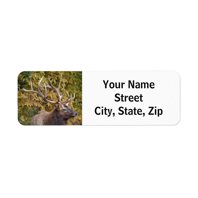 Taureau pendant l'étiquette d'adresse de retour de (Devant)