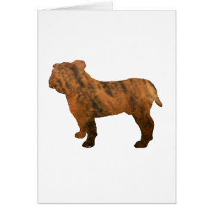 taureau rouge brindle silo