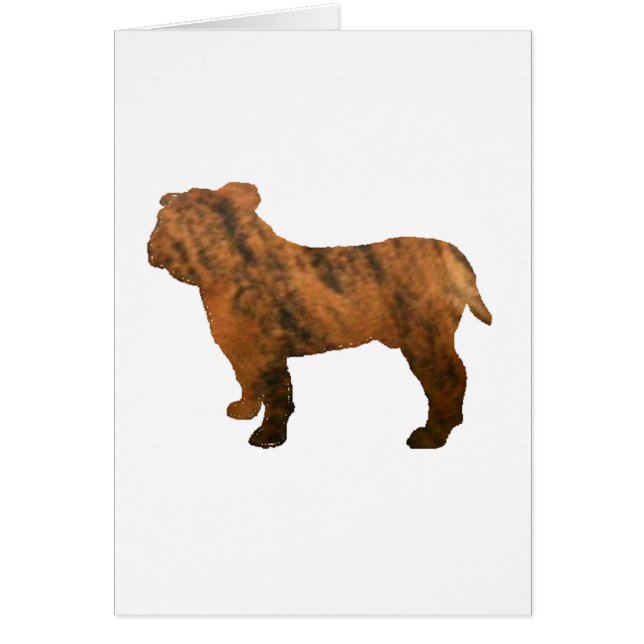 taureau rouge brindle silo (Devant)