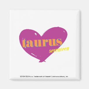 Taurus 2 magnet