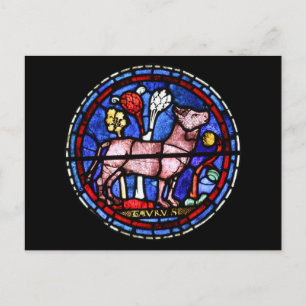 Taurus Astrology Stained Glass Windows Postcard