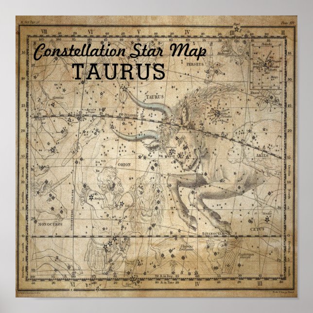 Taurus Bull Constellation Star Map May Poster (Front)