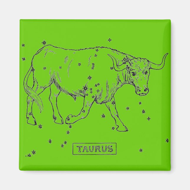 Taurus Magnet (Front)