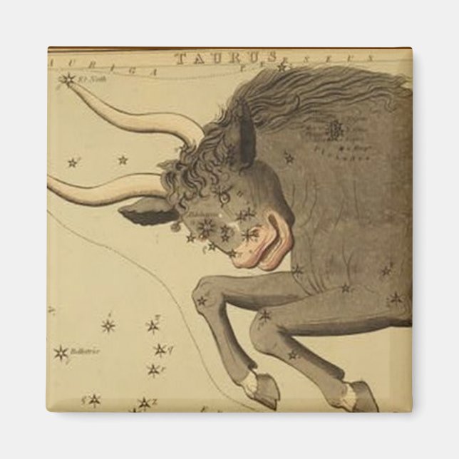 Taurus Magnet (Front)