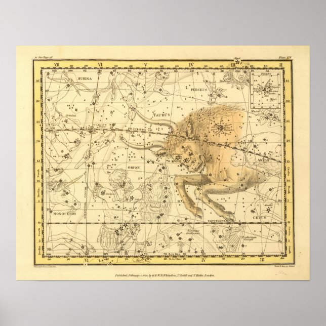 Taurus Poster (Front)