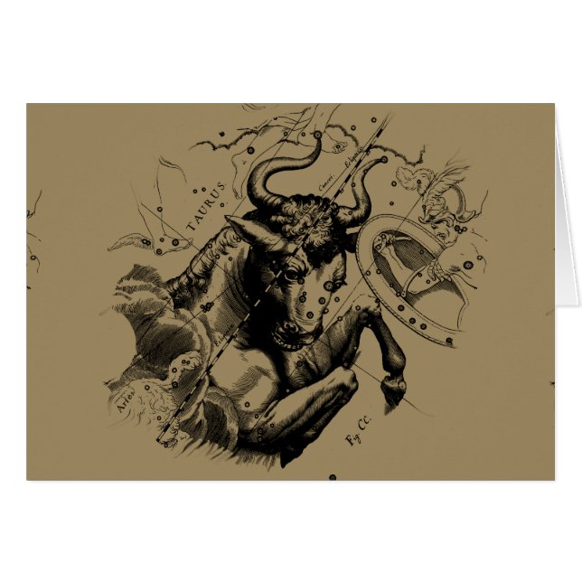 Taurus Sign Constellation Hevelius circa 1690 (Front Horizontal)