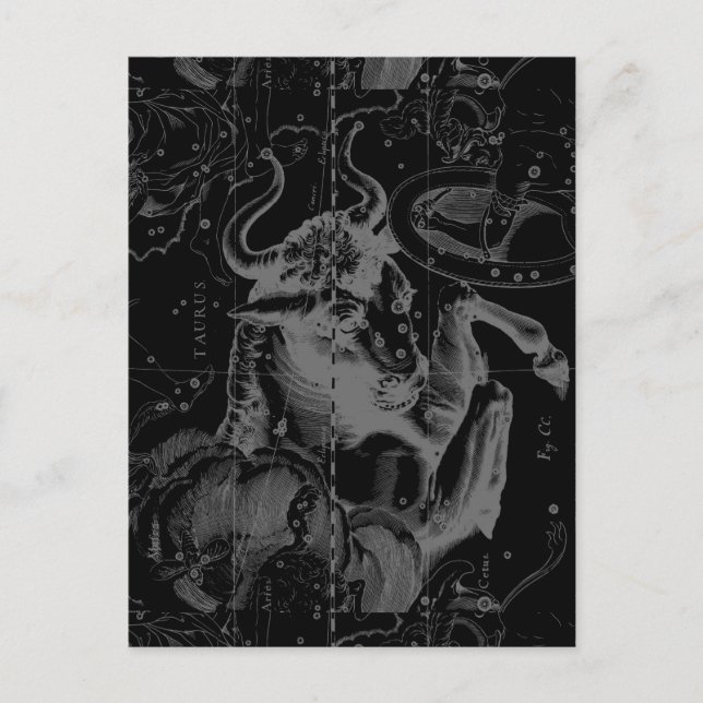 Taurus Sign Constellation Hevelius circa 1690 Postcard (Front)