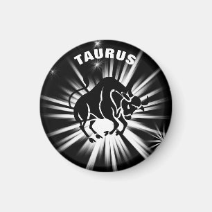 Taurus sign magnet
