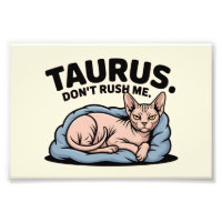 Taurus Sphynx Cat Zodiac Attitude Art