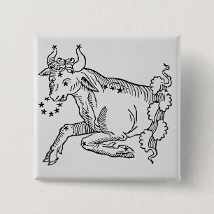 Taurus (the Bull) an illustration from the 'Poetic 2 Inch Square Button