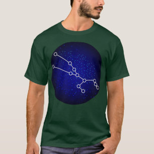 Taurus Zodiac Sign Gift T-Shirt