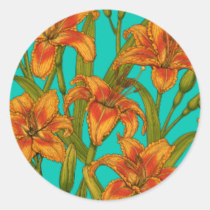 Tawny dailily flowers classic round sticker