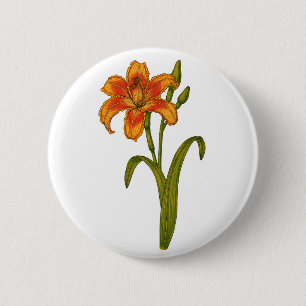Tawny daylily 2 inch round button