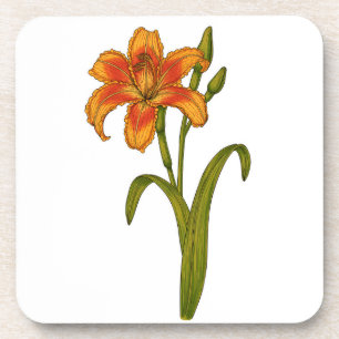 Tawny daylily coaster