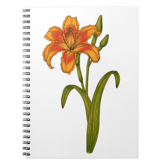 Tawny daylily notebook (Front)