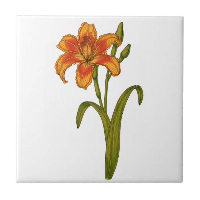 Tawny daylily tile (Front)