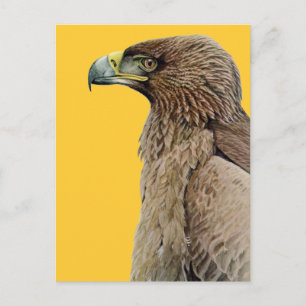 Tawny Eagle Postcard