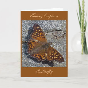 Tawny Emperor Butterfly Note Card