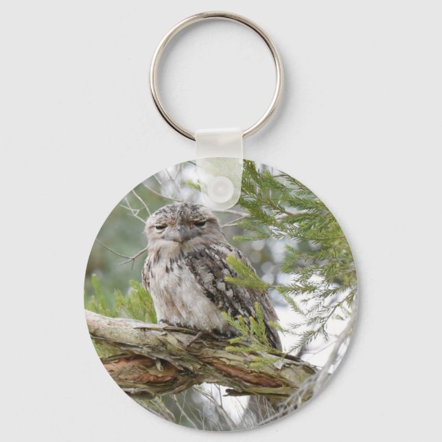 TAWNY FROGMOUTH OWL RURAL QUEENSLAND AUSTRALIA KEYCHAIN (Front)