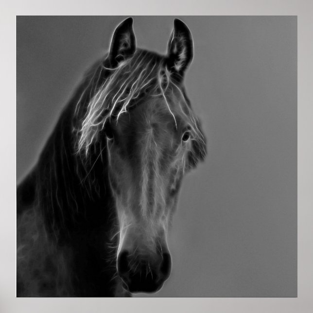 Tawny horse poster (Front)